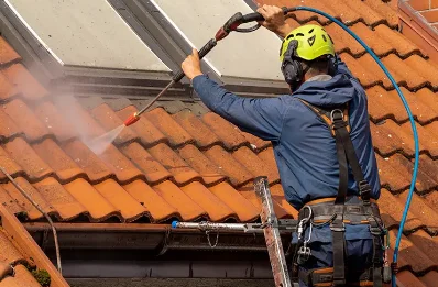 Démoussage et hydrofuge de toiture à Lescuns